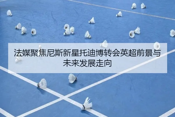 法媒聚焦尼斯新星托迪博转会英超前景与未来发展走向